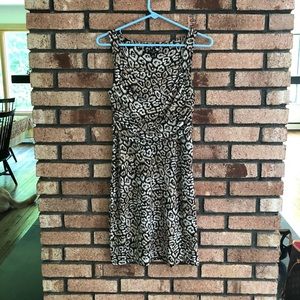 Ann Taylor Animal Print Dress